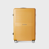R TRUNK 911 FRAME 63L MUSTARD