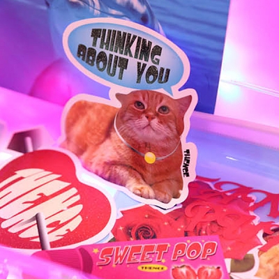 GLITTER STICKER PACK VER.1