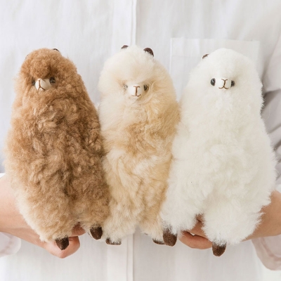 [컴발리 알파카] 귀여움에 치이고 폭신함에 치이는 알파카 친구들