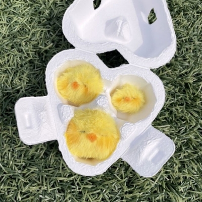 [greamilky] 100% 손바느질 하찮은 아기오리 뽀야3형제 인형