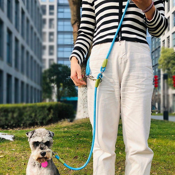 멍멍아띠 핸즈프리 강아지 산책 훈련용 교육용 목줄 리드줄 2.2m