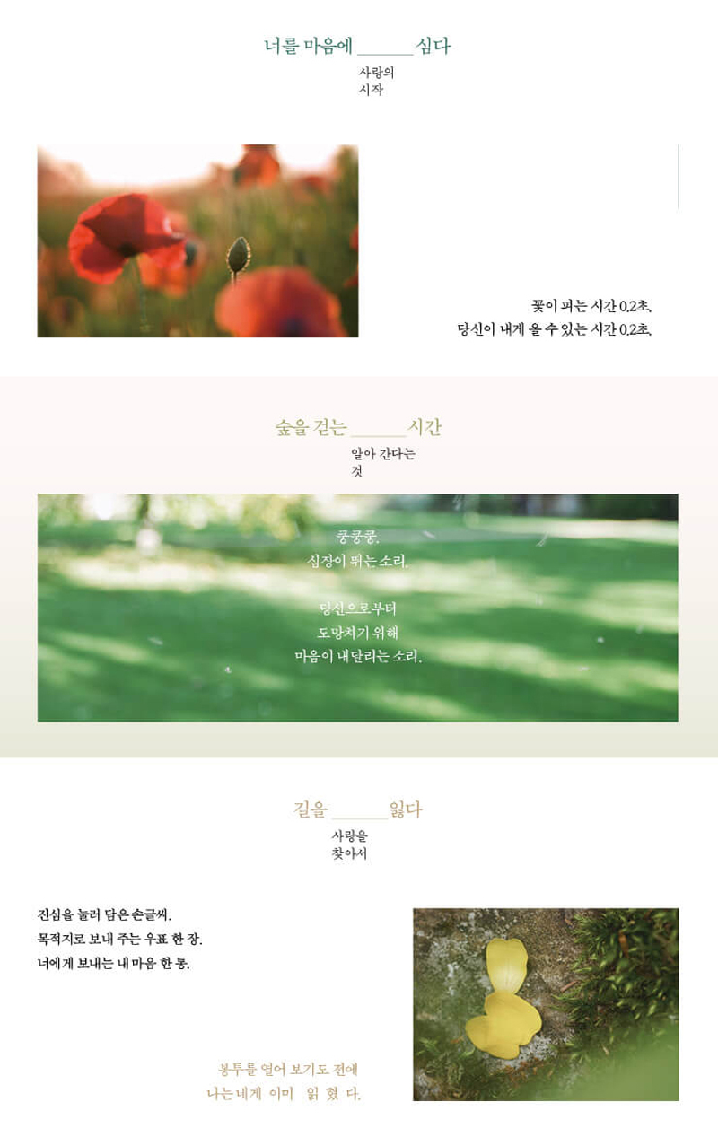 텐바이텐 10X10 : 너라는 숲