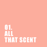 All that SCENT
