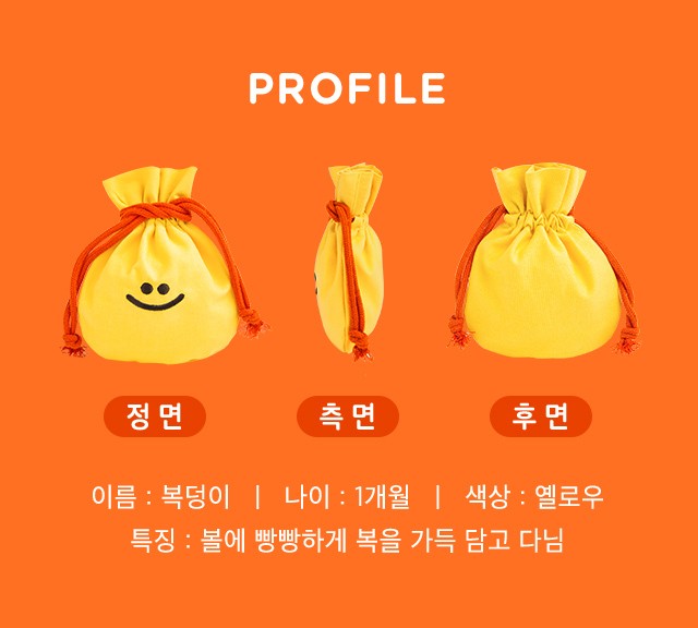 PROFILE - 이름:복덩이, 나이:1개월, 색상:옐로우, 특징:볼에 빵빵하게 복을 가득 담고 다님