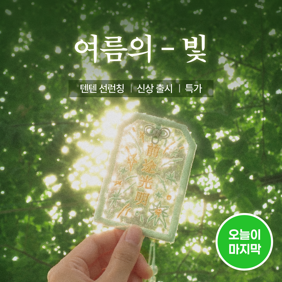 여름의 빛