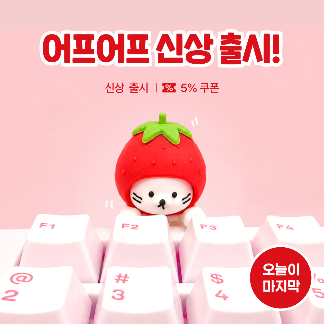 어프어프 신상 출시!