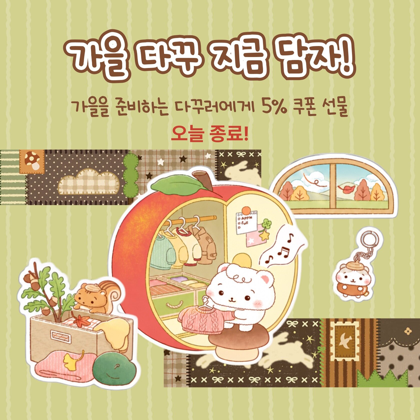 가을 다꾸 지금 담자!