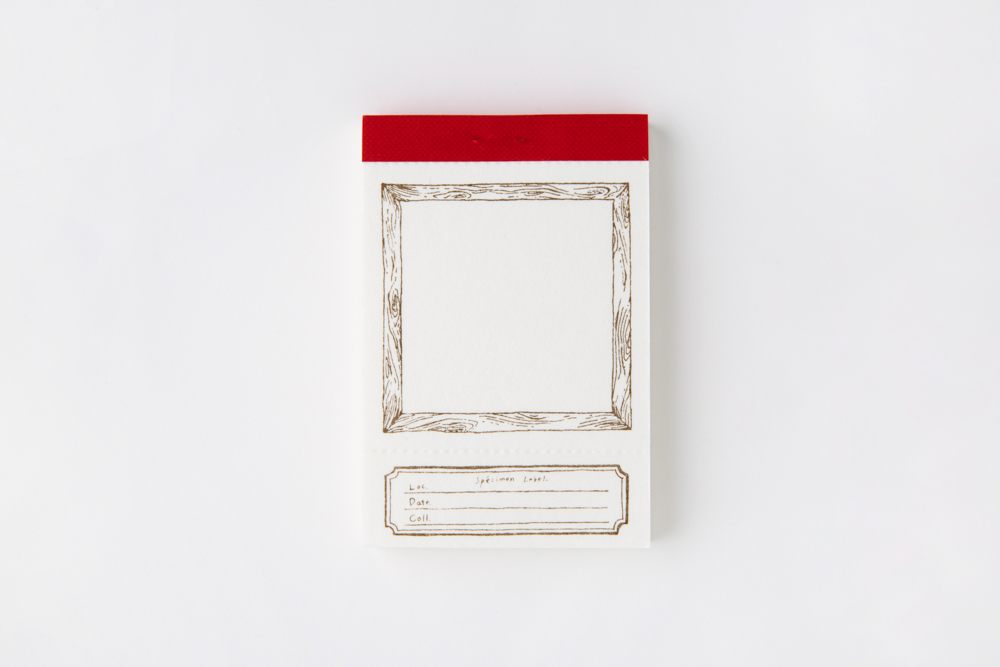 [OURS] Wooden frame letterpress label book 상세 이미지 6