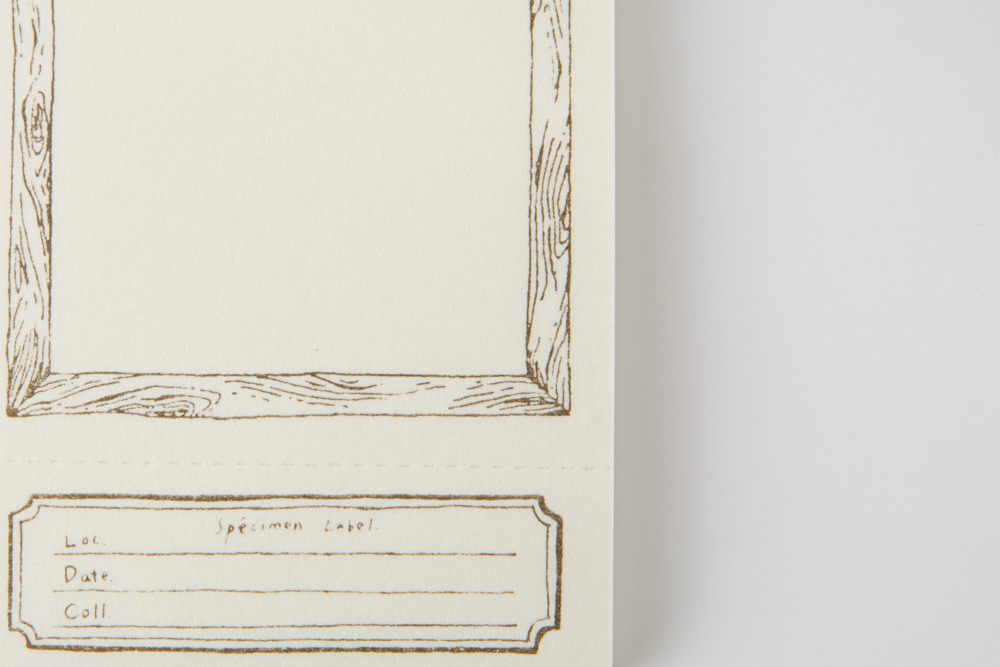 [OURS] Wooden frame letterpress label book 상세 이미지 7