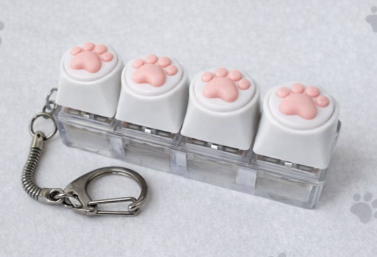 요즘 백꾸는 주렁주렁이 예의라면서요?