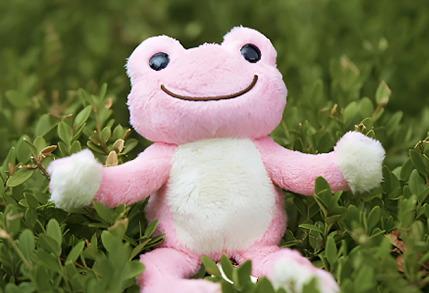 초록빛 위로 피클스더프로그