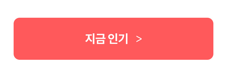 지금 인기