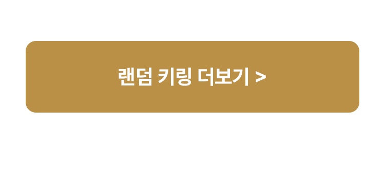 랜덤 키링 더보기