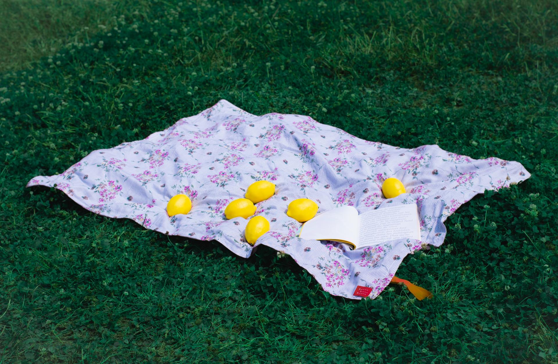 아뜰리에 코튼 블랭킷, 2 colors 상세 이미지 5