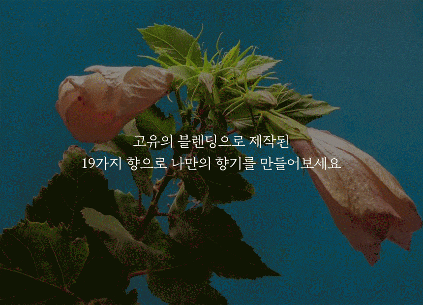 신규 향 출시 오아인 고체향수 상세 이미지 3