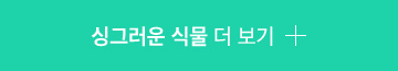 자주 쓰는 아이템 더 보기