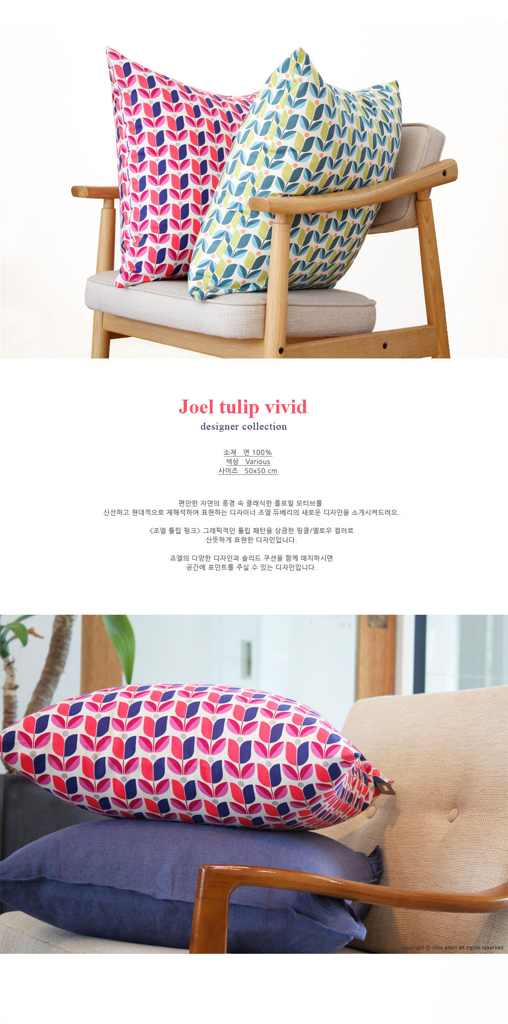 Jeol Tulip Vivid 상세 이미지 2