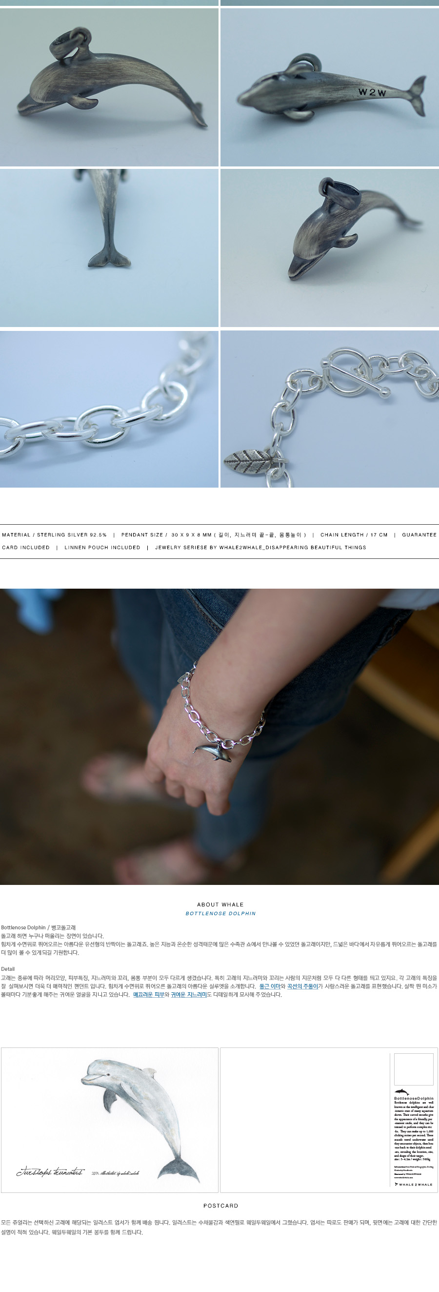 Bottlenose Dolphin_Bracelet 상세 이미지 2