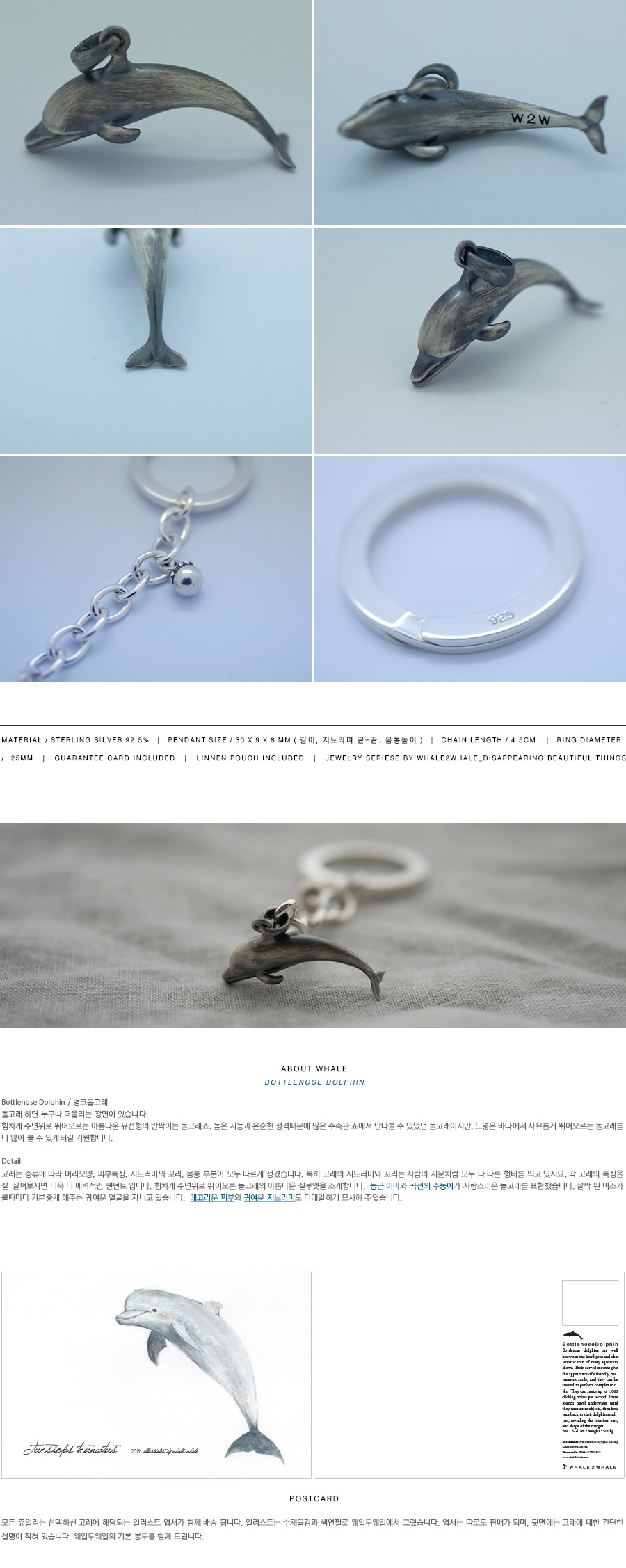 Bottlenose Dolphin_keyring 상세 이미지 2