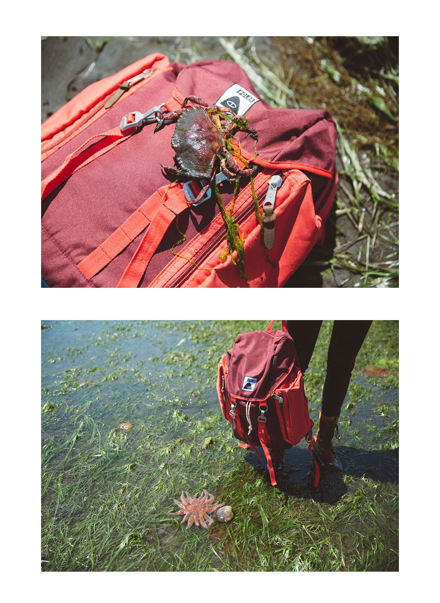 THE RUCKSACK  2.0 _ ALMOND FORES 상세 이미지 2
