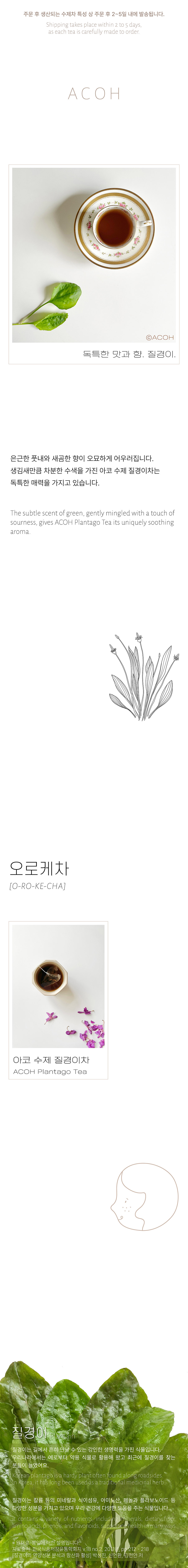 [오로케차] ACOH 풋풋한 수제 질경이차 상세 이미지 1