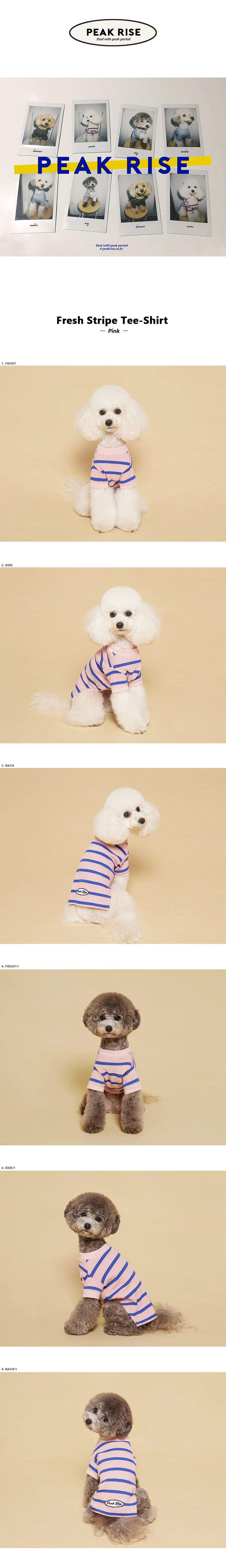 Fresh Stripe Tee-Shirt Pink 상세 이미지 1