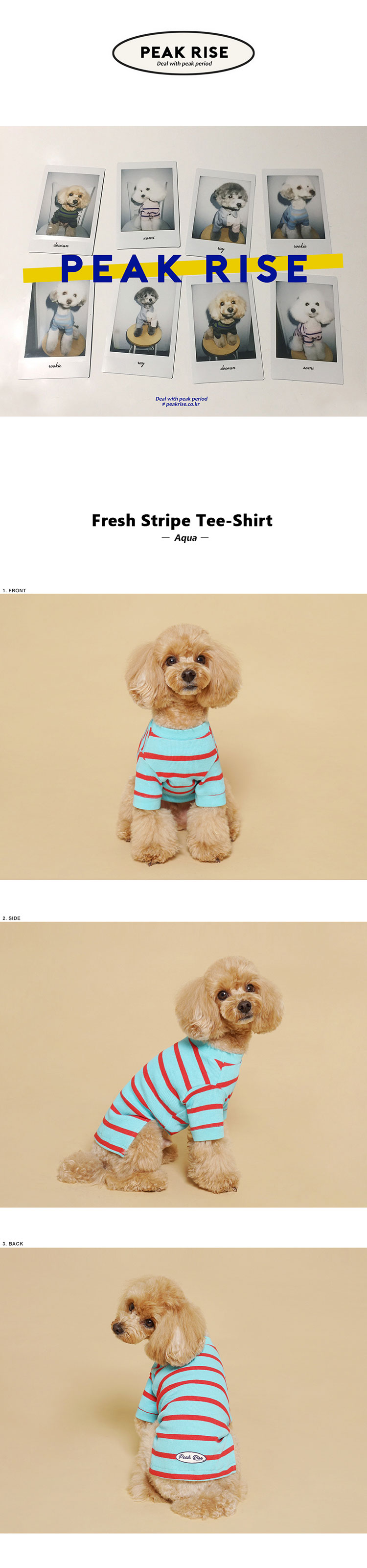 Fresh Stripe Tee-Shirt Aqua 상세 이미지 1