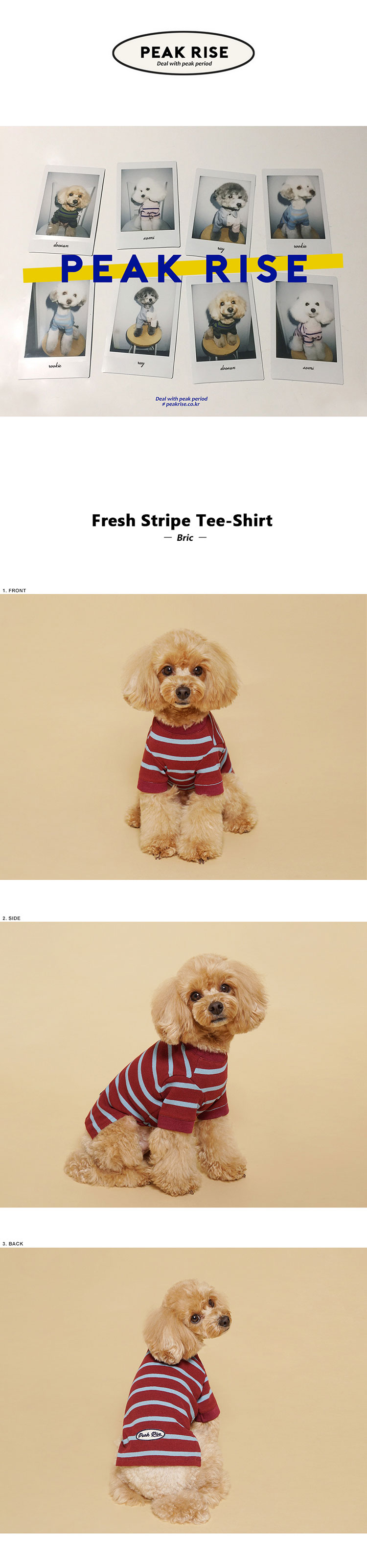 Fresh Stripe Tee-Shirt Bric 상세 이미지 1