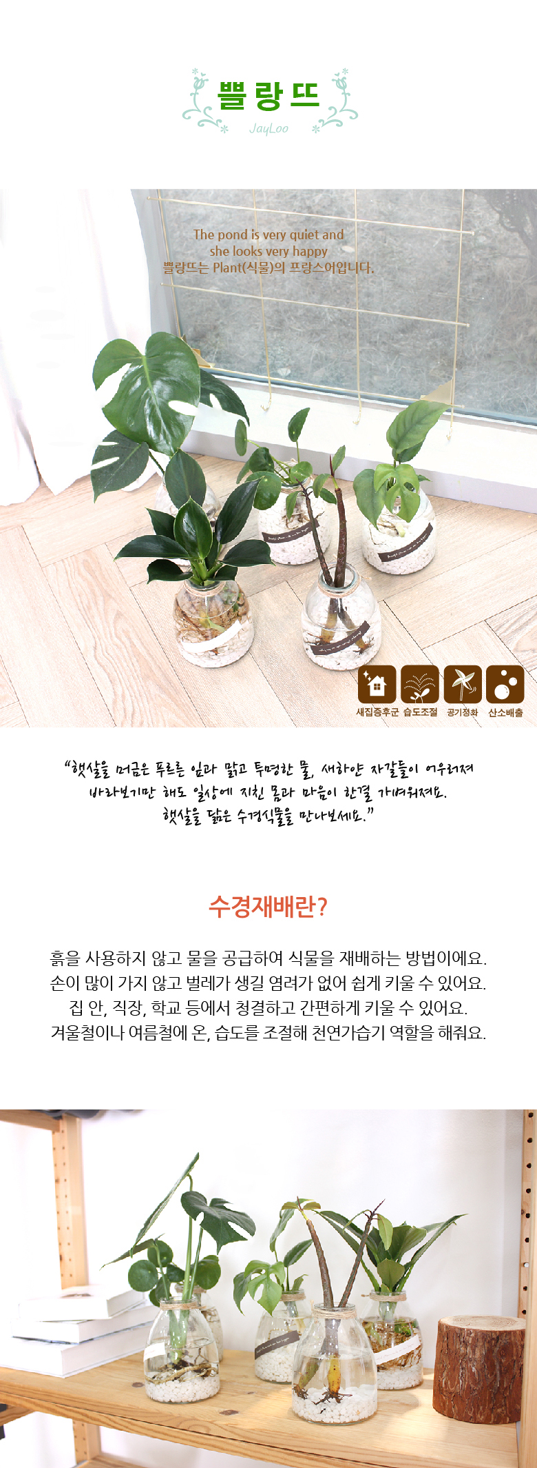 쁠랑뜨 - 수경재배 5종세트 상세 이미지 1