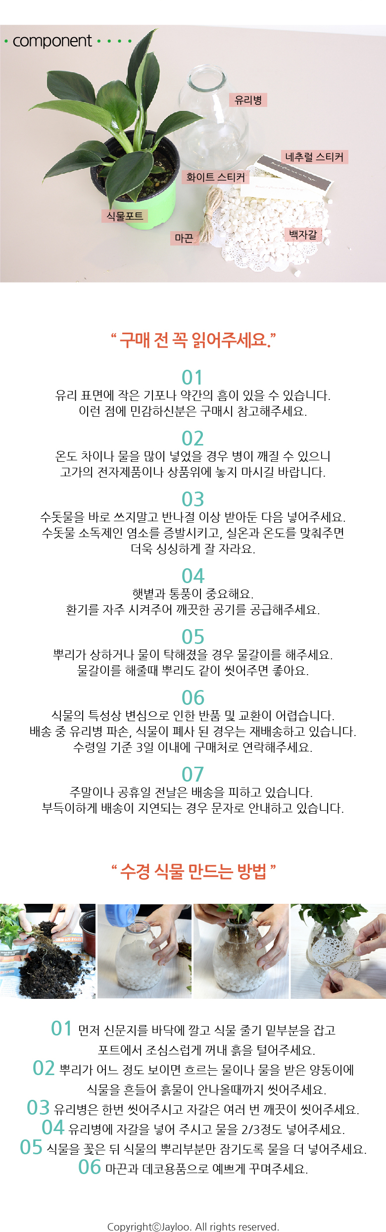 쁠랑뜨 - 수경재배 5종세트 상세 이미지 6