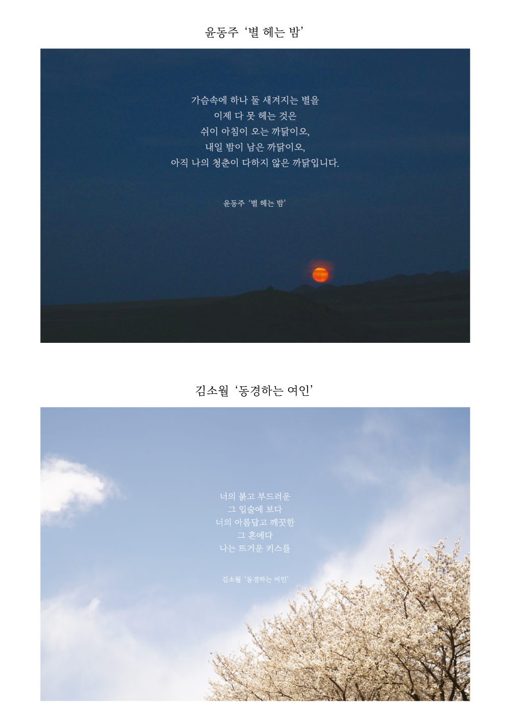 [아워베리모먼트] 우리말 시 엽서 5장 세트 상세 이미지 3