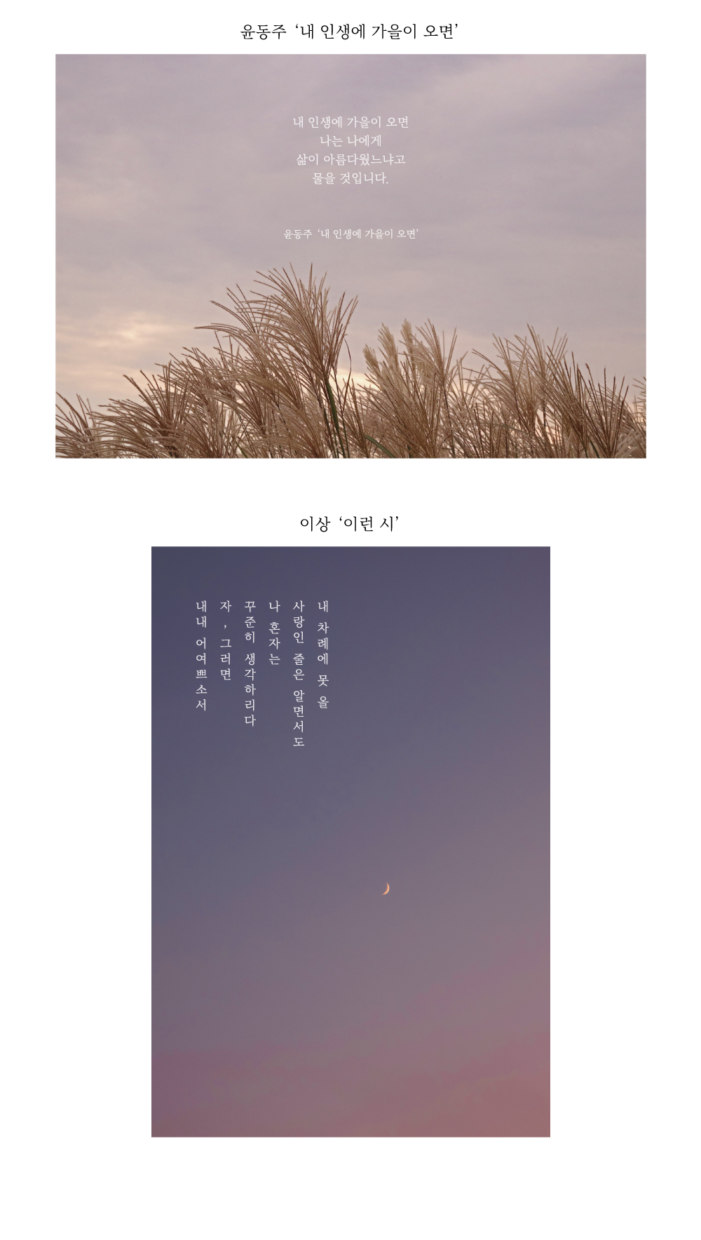 [아워베리모먼트] 우리말 시 엽서 5장 세트 상세 이미지 4