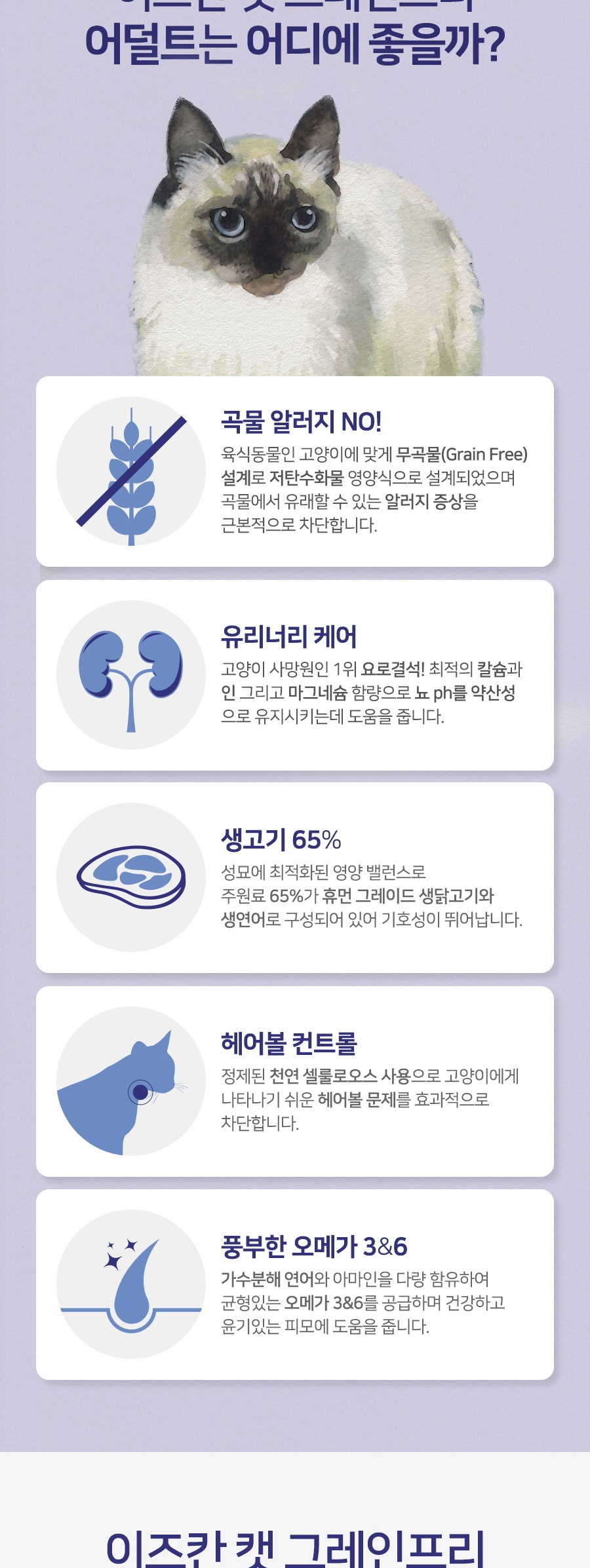 [유통기한 23.2.1]이즈칸 캣 강아지사료 그레인프리 어덜트 6.5kg 상세 이미지 3