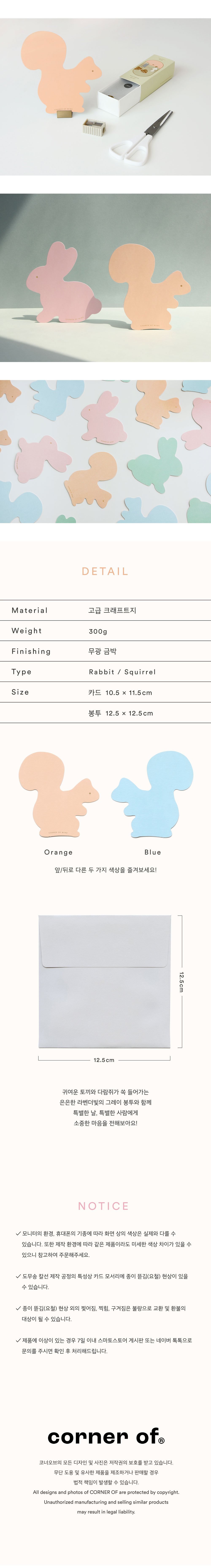 [코너오브] Squirrel 양면 카드 상세 이미지 2