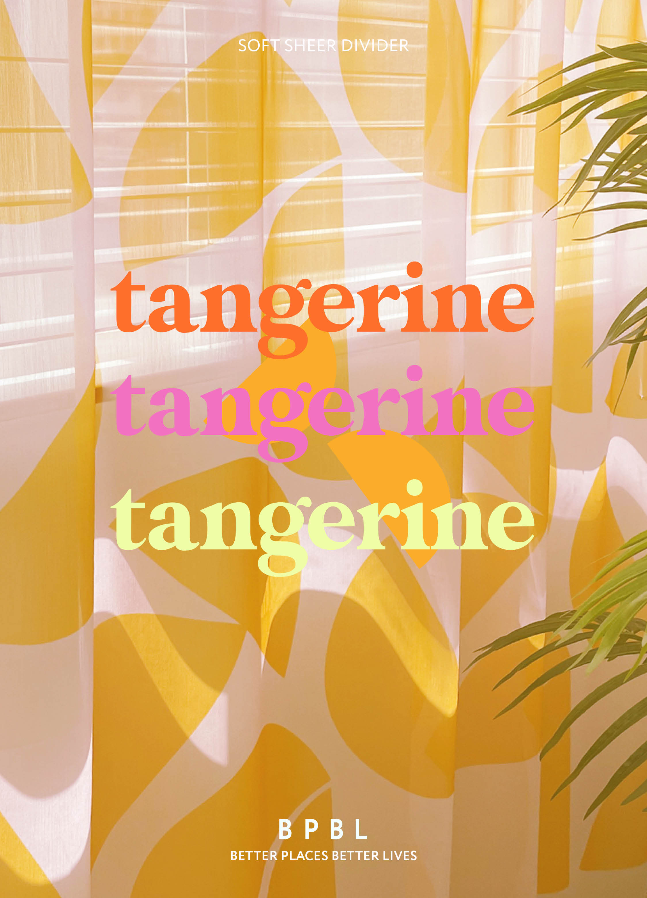 [소프트 시어 디바이더] tangerine 상세 이미지 1