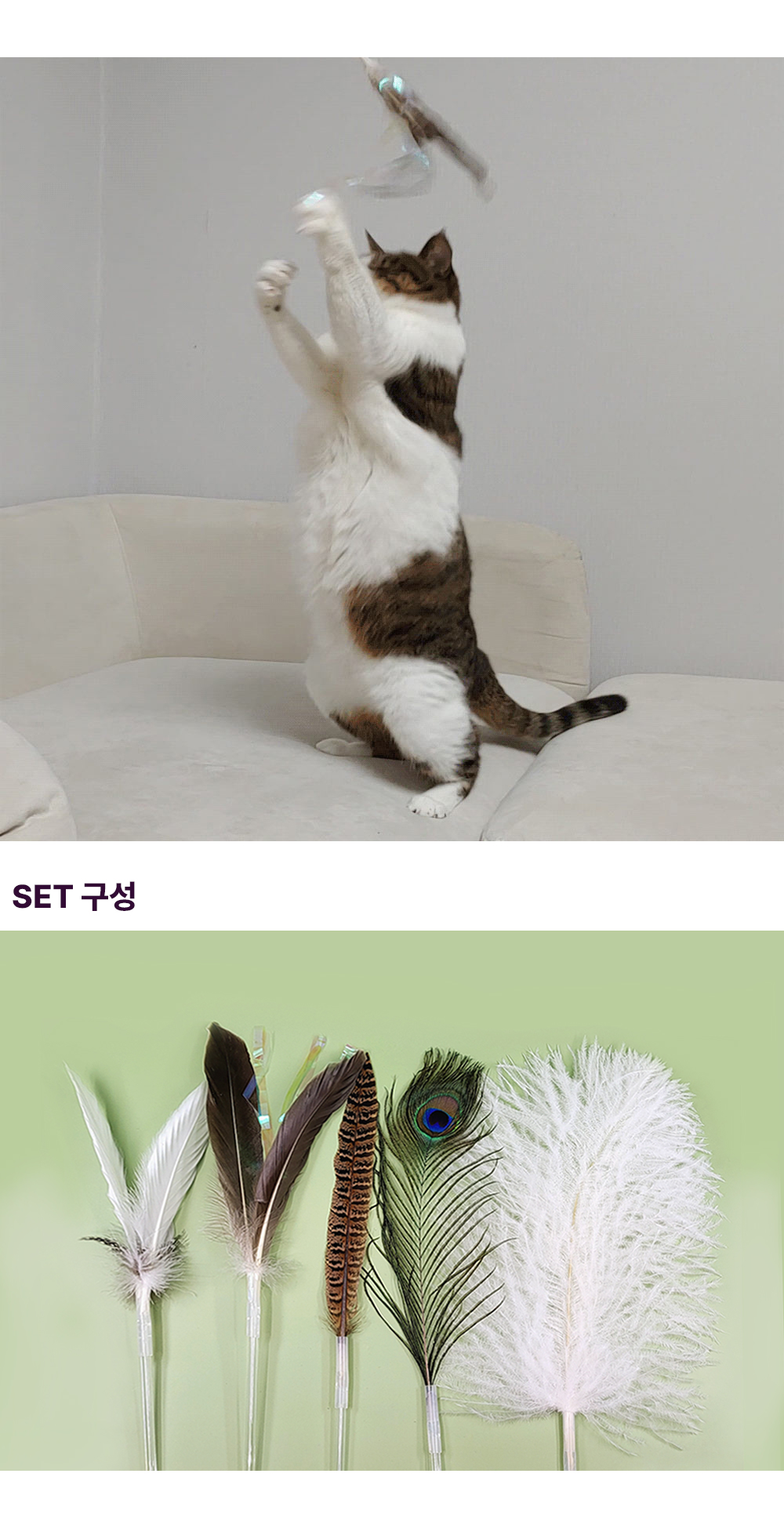 우주캣 꼬마 낚시대 5종 세트 상세 이미지 4