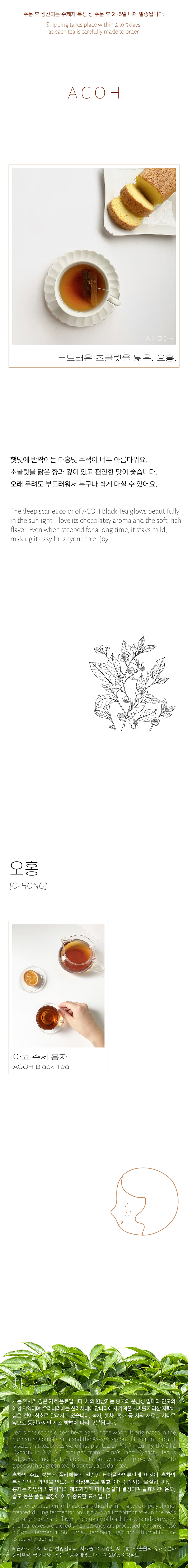 [오홍] ACOH 깊고 부드러운 국산 홍차 상세 이미지 1