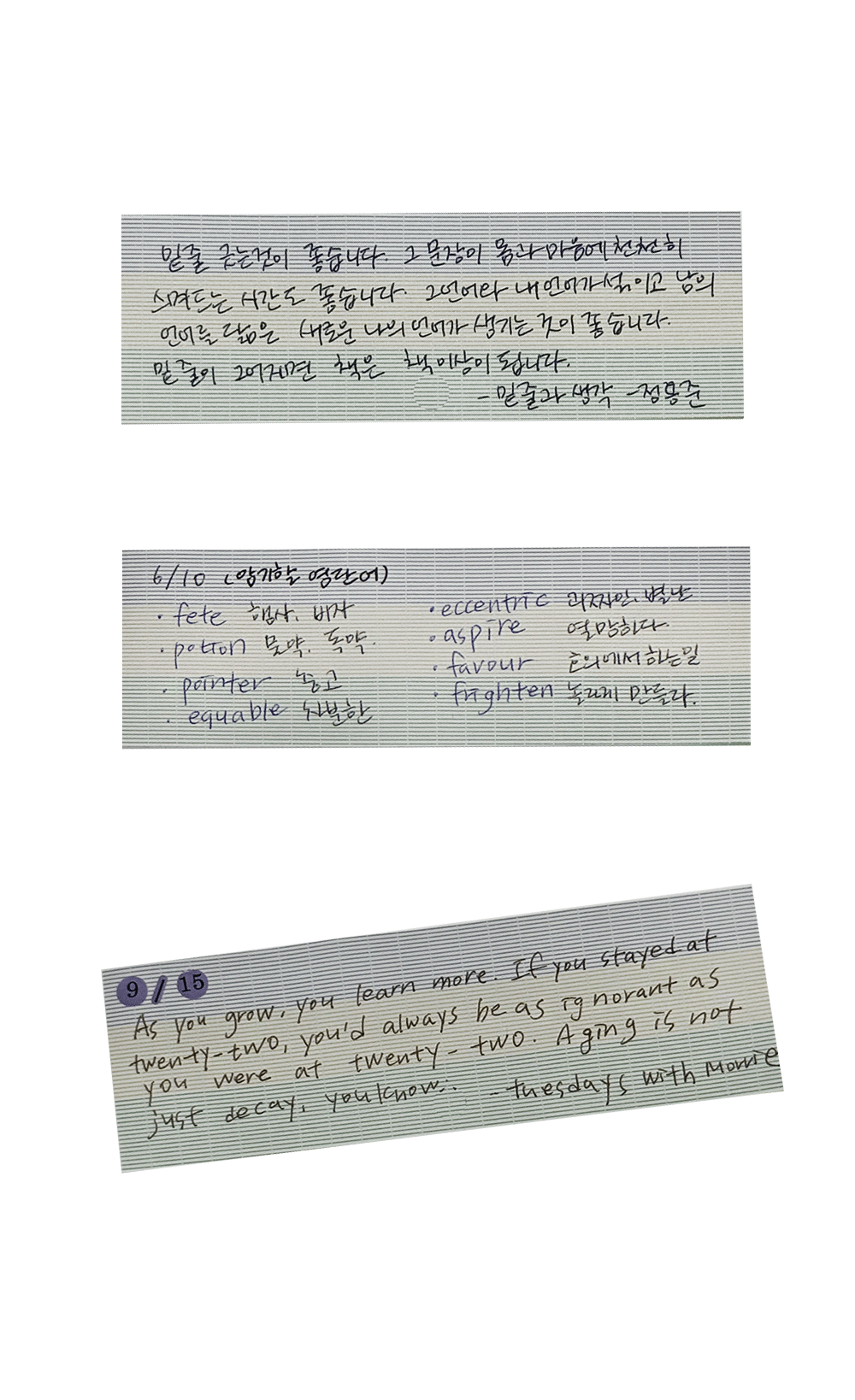 캔디 그리드 롱스퀘어 모눈 점착메모지 상세 이미지 4