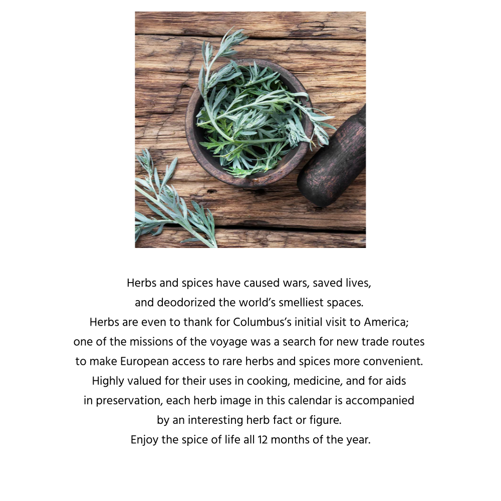 2025 벽걸이캘린더 Herbs 상세 이미지 4