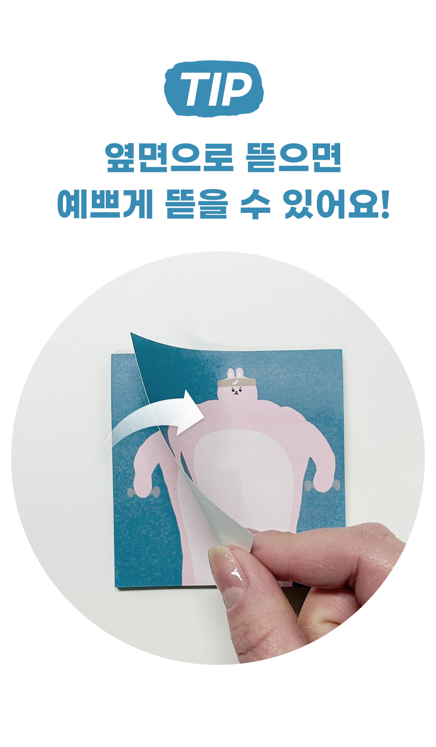 동물친구들 점착 메모지 노트 상세 이미지 2