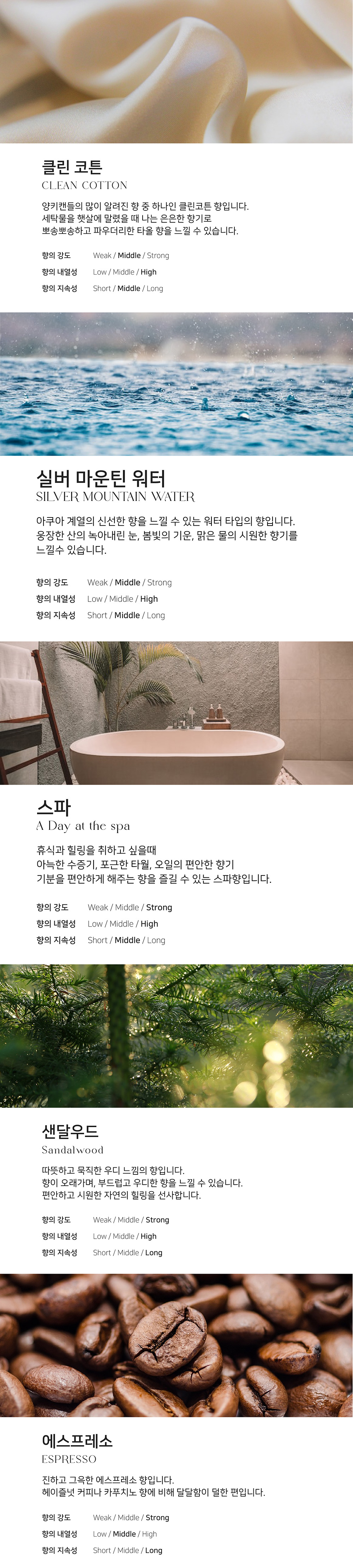 [푸른뱀의 해] 2025년 - 뱀 티라이트 캔들 / 답례품 명절 상세 이미지 4