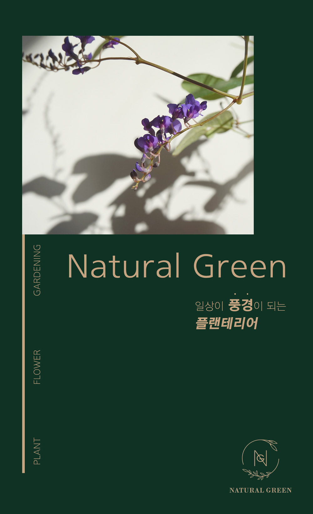 [내추럴그린] 돔형 조화 용돈 플라워박스 상세 이미지 1