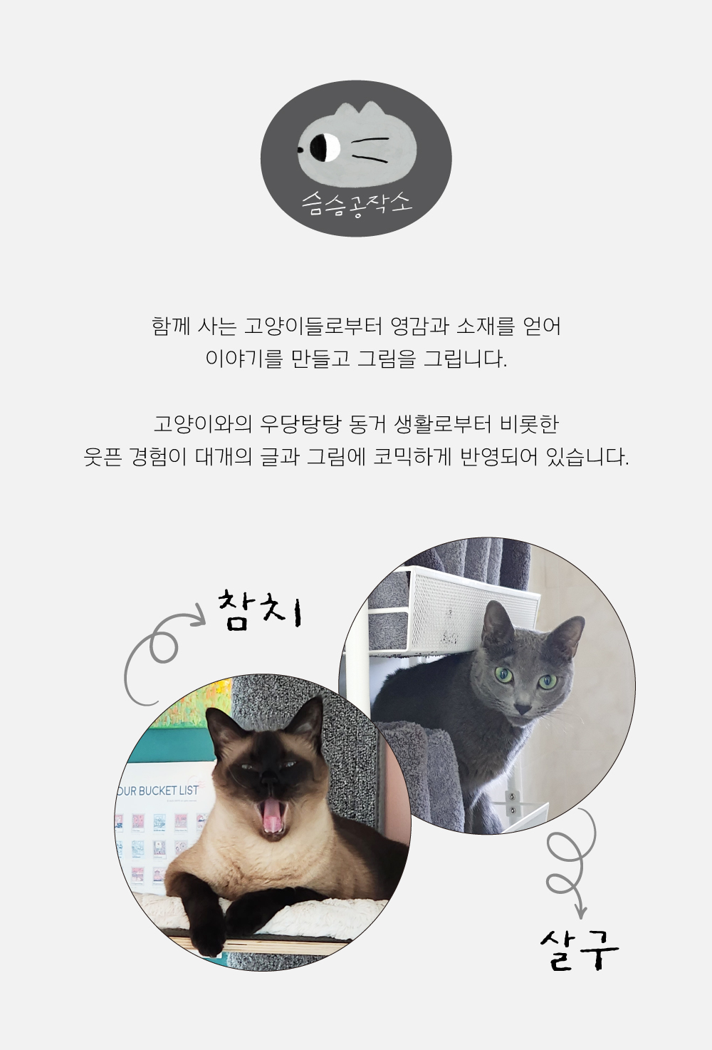 아크릴 키링 : What's in this 3종 (고양이 키링) 상세 이미지 6