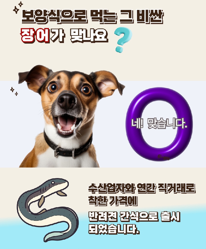 통영 바다장어(tb) 통장어 1P 상세 이미지 2