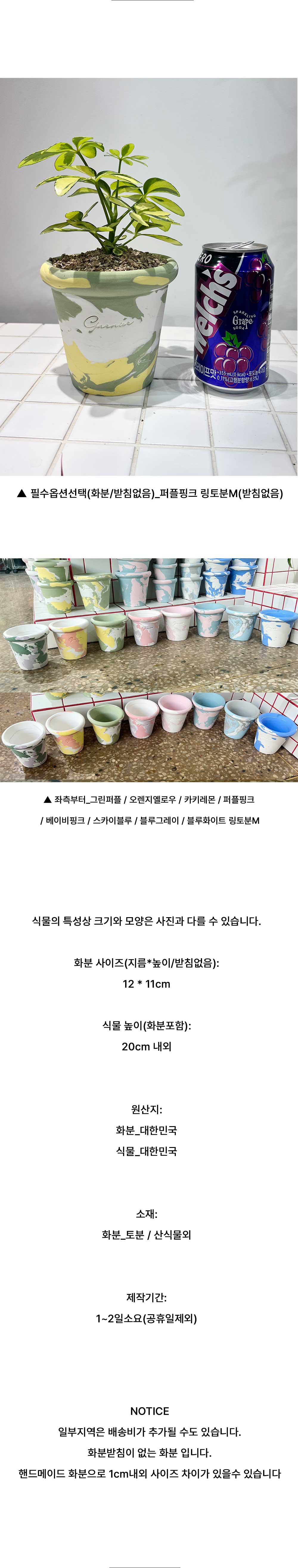 핸드메이드 토분M에 담긴 담긴 우산잎 무늬 쉐프렐라 상세 이미지 6