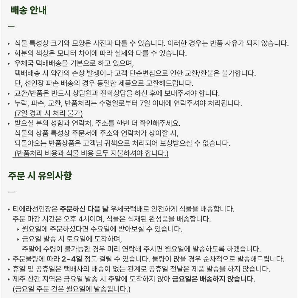 핸드메이드 토분M에 담긴 담긴 우산잎 무늬 쉐프렐라 상세 이미지 7
