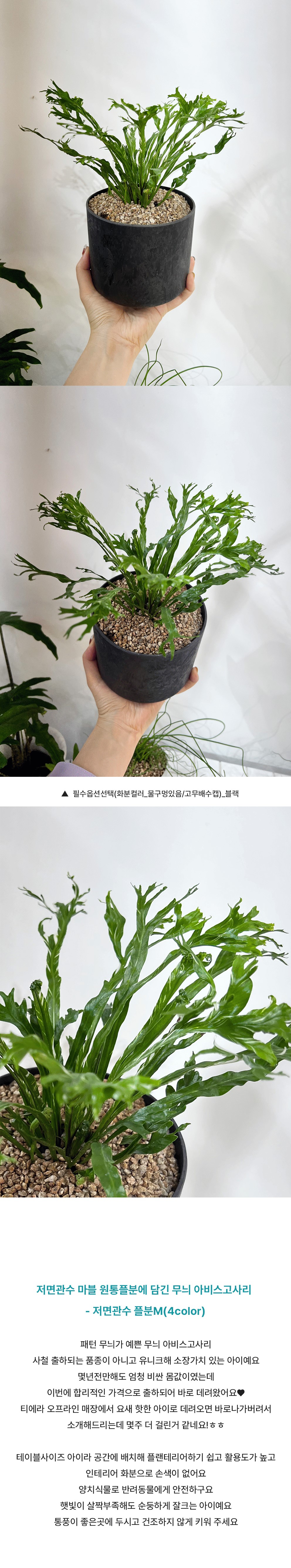키우기쉬운 감성화분 저면관수 원통플분M 마블팟에 담긴 무늬 아비스 상세 이미지 2