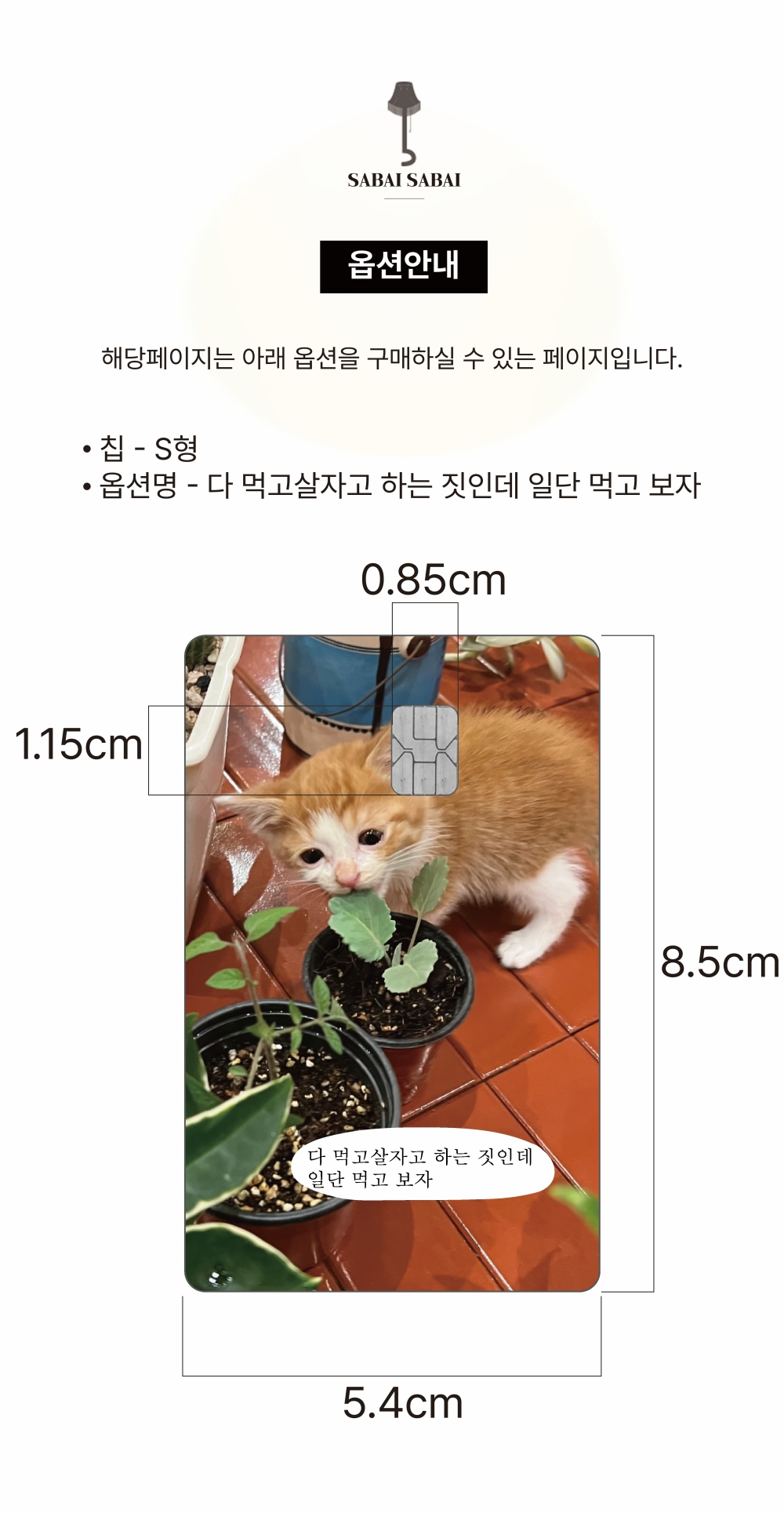 S칩 - 다 먹고살자고 하는 짓인데 카드 커버 스티커 상세 이미지 1