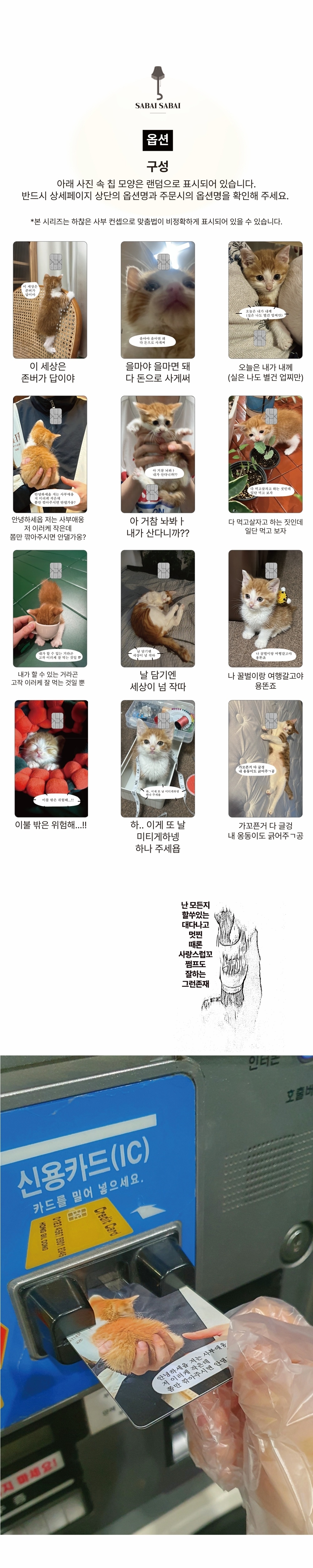 S칩 - 다 먹고살자고 하는 짓인데 카드 커버 스티커 상세 이미지 3