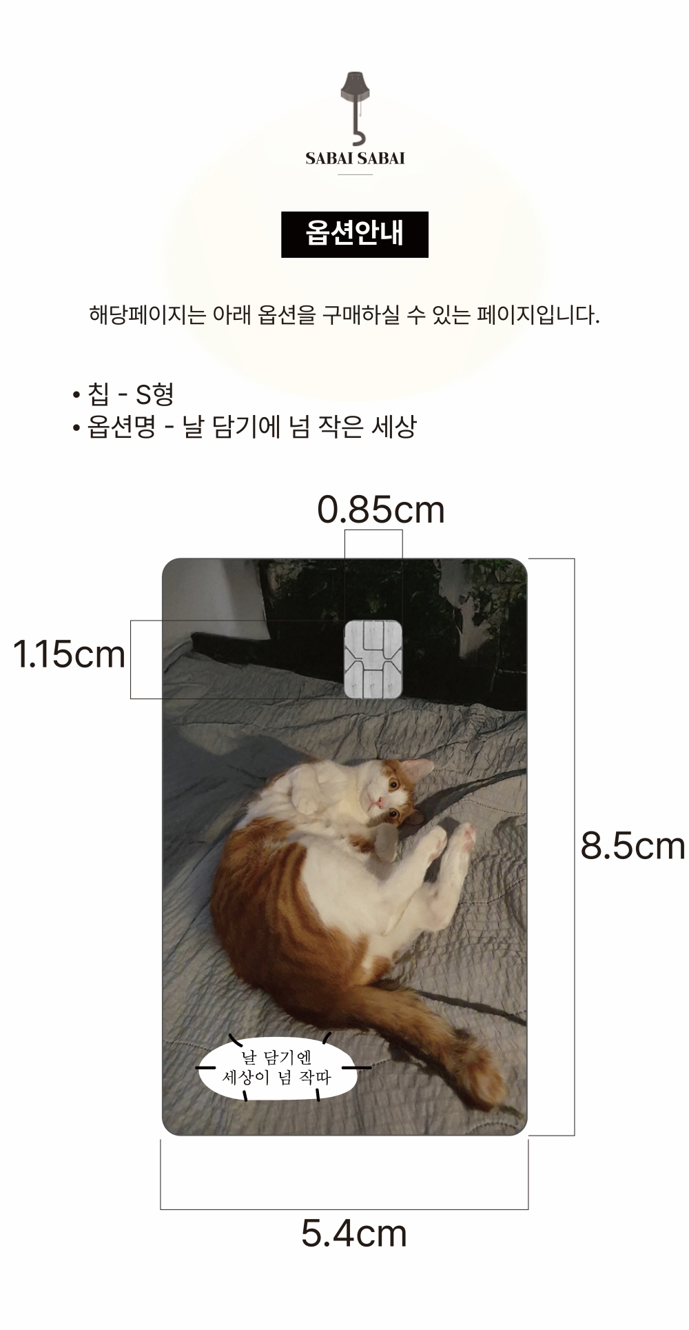 S칩 - 날 담기에 넘 작은 세상 카드 커버 스티커 상세 이미지 1